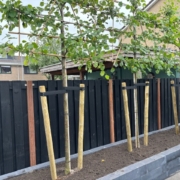 Schutting laten plaatsen