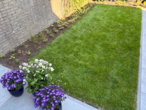 Tuinonderhoud