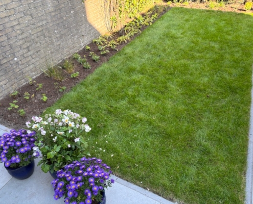 Tuinonderhoud Tuinonderhoud